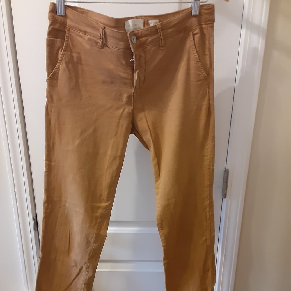 Cute Anthro HEI Pants Size 29